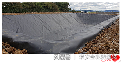 陕西宝鸡垃圾填埋场用高密度聚乙烯HDPE0.75mm土工膜价格示例图2