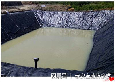 西藏垃圾填埋场用高密度聚乙烯HDPE防渗土工膜0.75mm价格示例图4