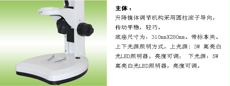 重庆荧光体视显微镜 体视荧光显微镜 LED荧光显微镜 ZSA300FL示例图5
