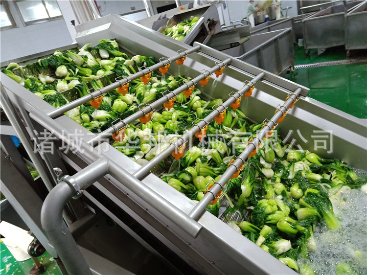 华邦蔬菜异物去除清洗机 果蔬净菜设备 清洗干净 产量大节水节能示例图6