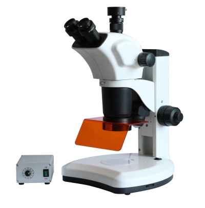 重庆荧光体视显微镜 体视荧光显微镜 LED荧光显微镜 ZSA300FL示例图2