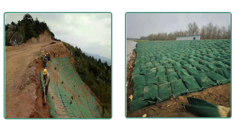 供应现货 绿化植草生态袋 护坡生态袋 河道修复草籽生态袋 量大从优示例图12