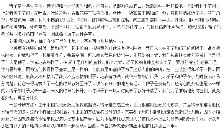 散装稗草种子 水稗子种子 稻田养喂鱼草种子 水稗草籽 水草种子示例图5