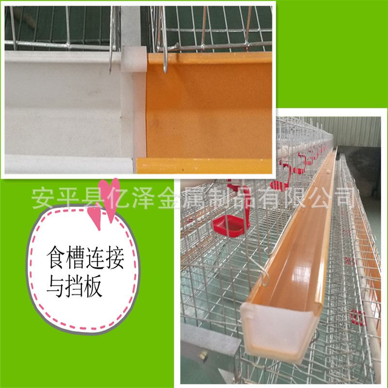 Chicken layer cage (48)_副本