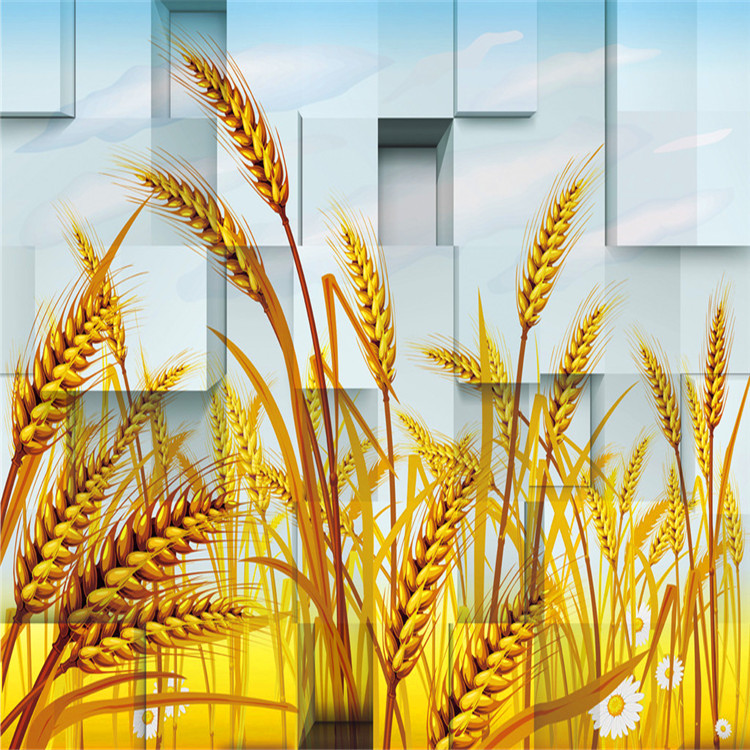 厂家批发大麦 特级带壳大麦 优质精选大麦米饲料农作物示例图6