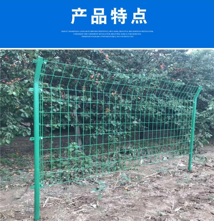 德兰直销圈地护栏网 低碳钢丝双边丝护栏网 定制场地圈地防护网示例图10