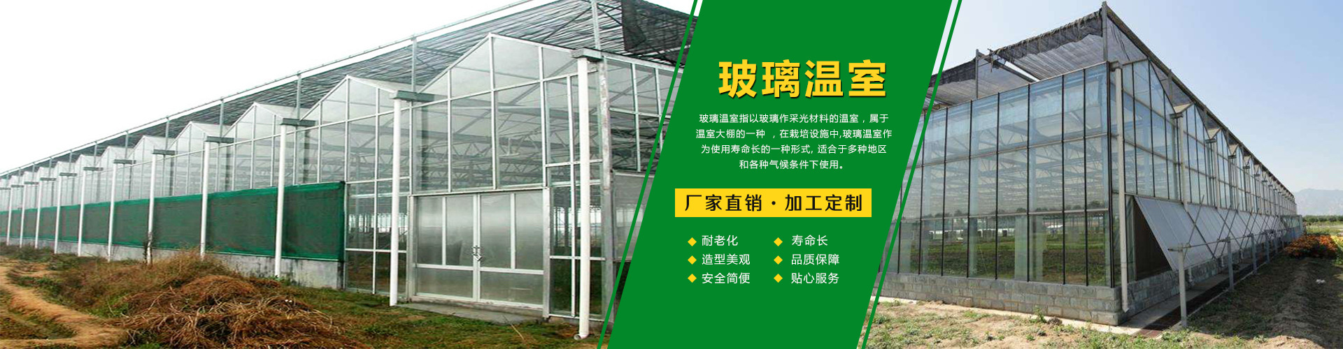 山东温室大棚工程造价 玻璃温室 连栋薄膜温室 阳光板温室示例图16