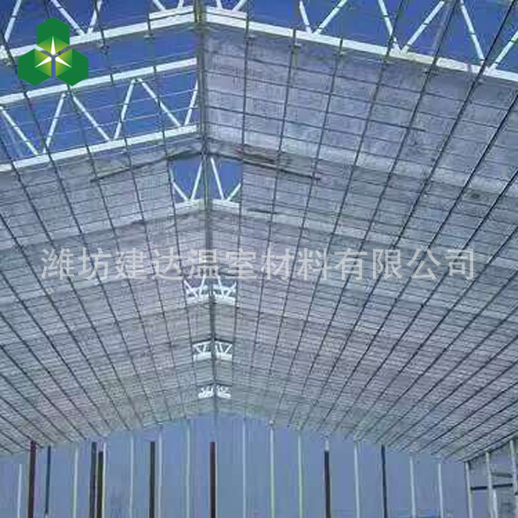 阳光板温室大棚阳光板温室  连栋温室  连栋大棚  连体温室+示例图11