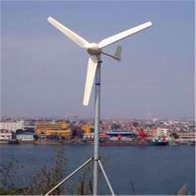 220v低转速3千瓦永磁风力发风力发电机 小型风力发电机家用示例图14