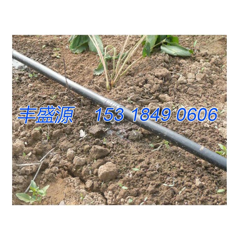 自动灌溉系统 滴灌自动灌溉 水肥灌溉器 压力补偿灌水器 滴水管示例图8