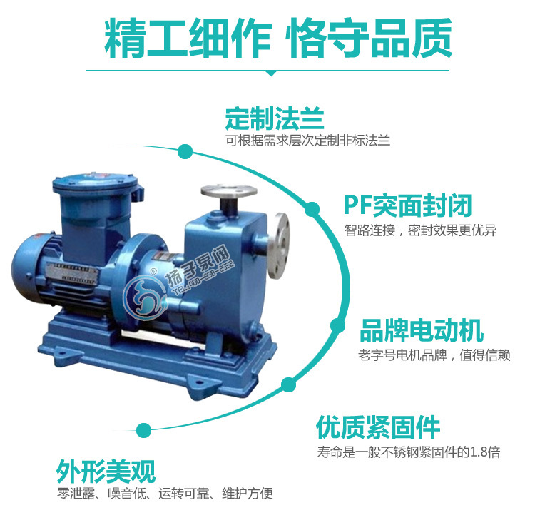 安徽厂家直销 ZCQ32-25-145型不锈钢自吸式磁力驱动泵耐腐泵批发示例图9