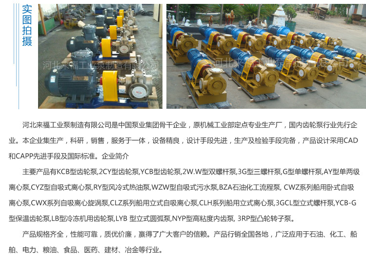 厂家供应 齿轮泵 2CY齿轮泵 卧式齿轮润滑油泵示例图13