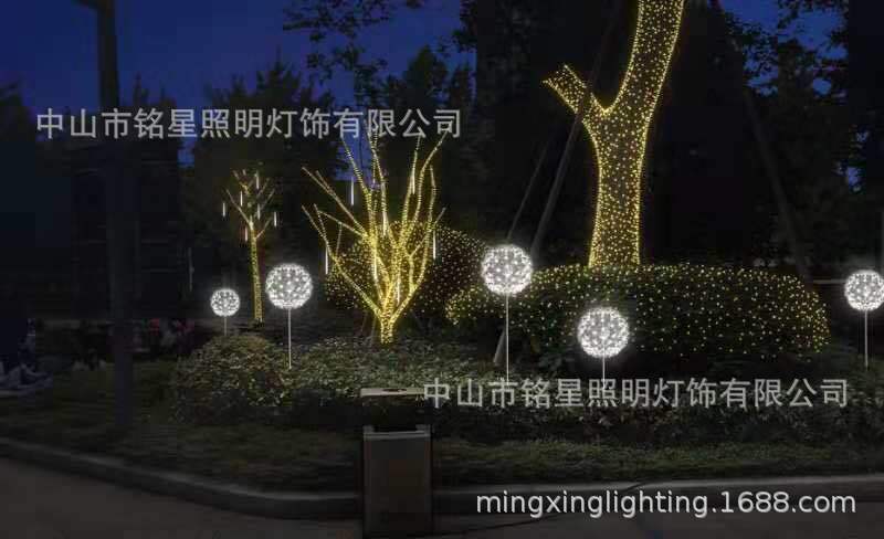 led景观灯 户外光纤广场灯 园林庭院装饰灯 直径80cm户外蒲公英灯示例图3