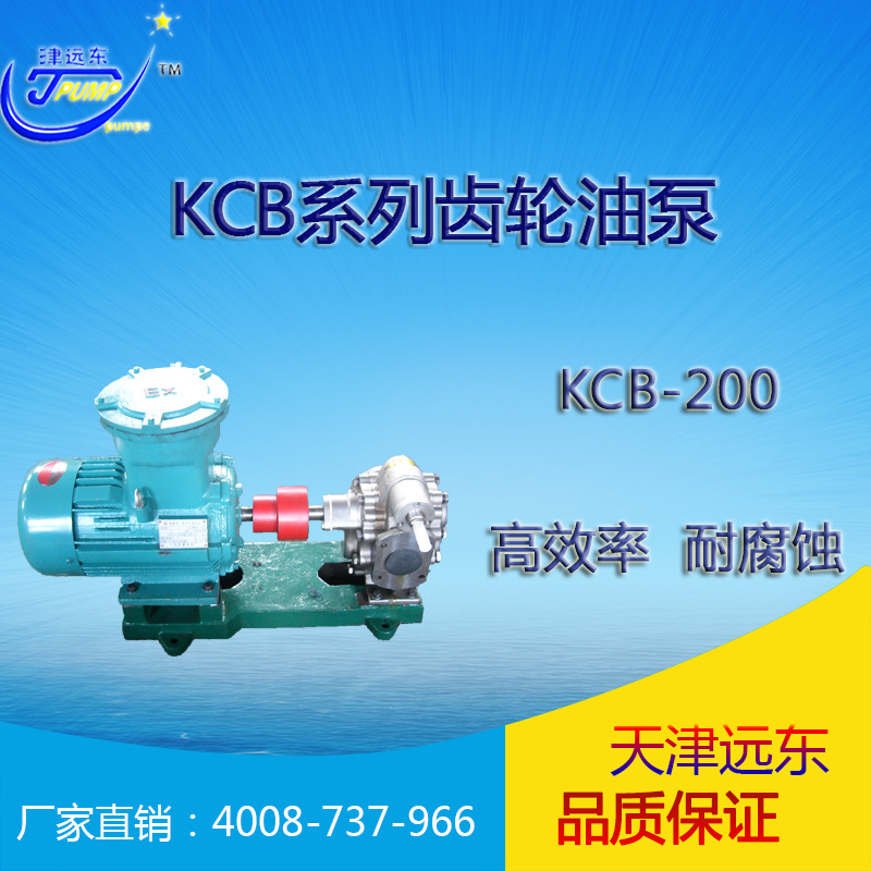 天津远东 KCB-200不锈钢齿轮泵 食品油输送泵 远东齿轮泵厂家直销示例图1