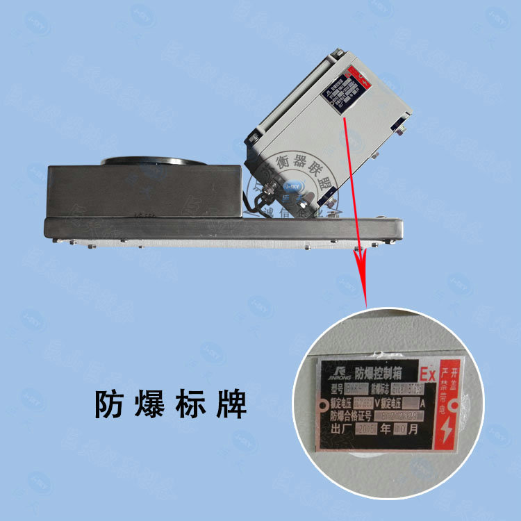 EX防爆电子天平GT-3000A本安型防爆天平秤精准0.01g化工厂专用示例图10
