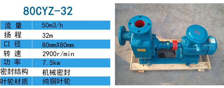 轻柴油供油泵40CYZ-20自吸油泵配2.2kw-2电机示例图2