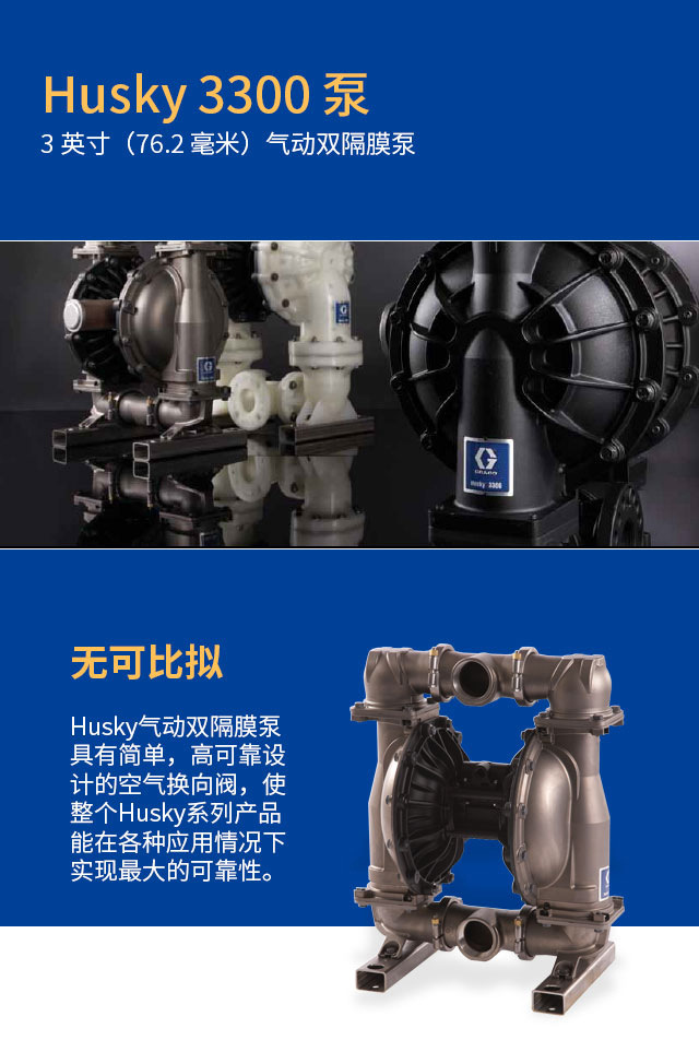 雷亚固瑞克 HUSKY3300 不锈钢气动双隔膜泵 652036输送泵 进口隔膜泵示例图2