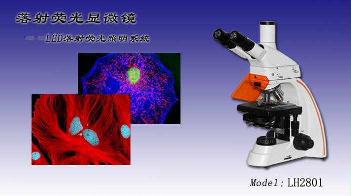 重庆荧光显微镜报价  LED落射荧光显微镜LH2801 荧光显微镜供应示例图1