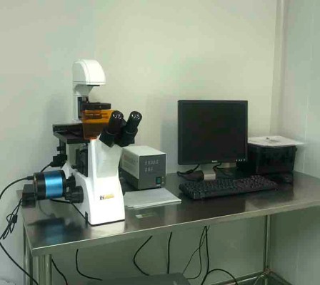 倒置荧光显微镜代理  倒置荧光显微镜XDY-2  倒置荧光显微镜报价示例图12