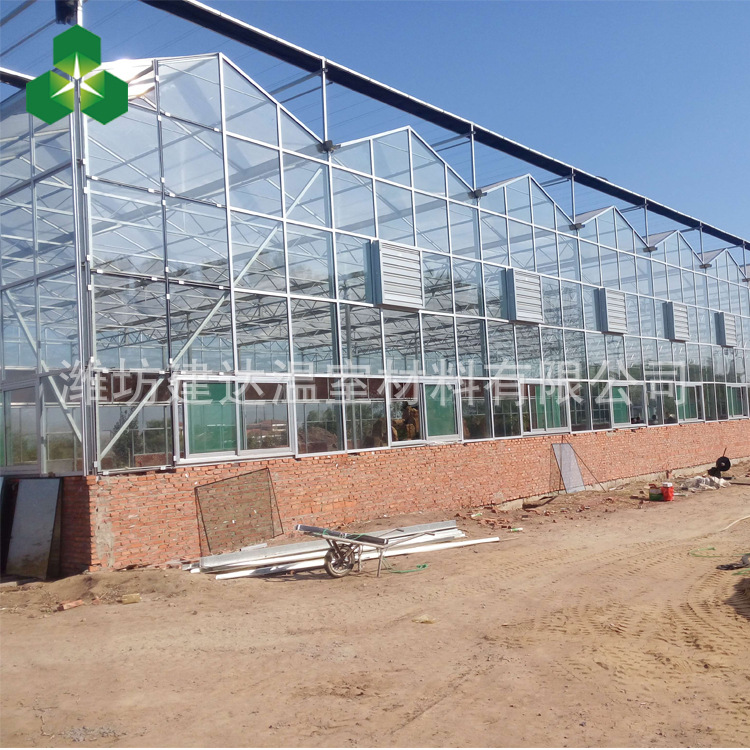 专业安装设计玻璃温室 智能温室 日光温室 连栋温室 阳光板温室示例图6
