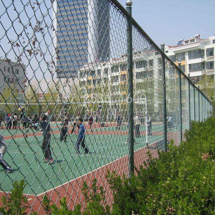 冠欧篮球场围栏pe包塑铁丝围网学校防护场地隔离网球场体育场示例图4