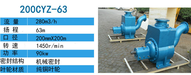 输送燃油泵200CYZ-65自吸油泵配90kw-4电机铜业轮口径200示例图5