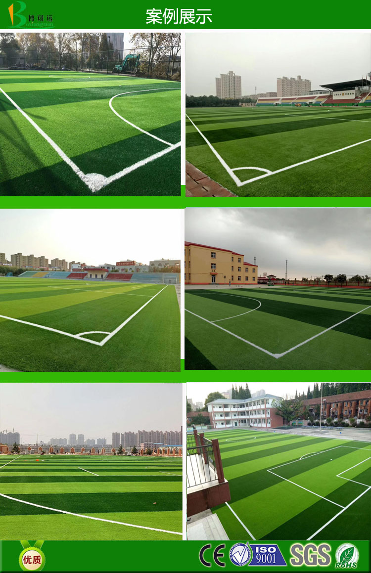 塞尔隆人造草坪 荷兰进口高品质运动草坪 足球场草坪示例图8