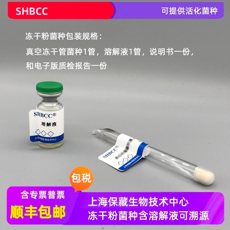 SHBCC 冻干粉 红平红球菌  ACCC10543   0代菌种 0代菌株 可定制 厂家直销 上海保藏中心