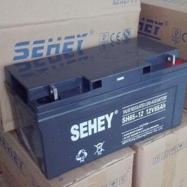 西力蓄电池SH65-12 铅酸性免维护电池 西力蓄电池12V65AH 铅酸性免维护电池  UPS专用电池
