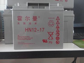霍尔曼蓄电池HN12-24 12V24AH铅酸免维护UPS蓄电池示例图3