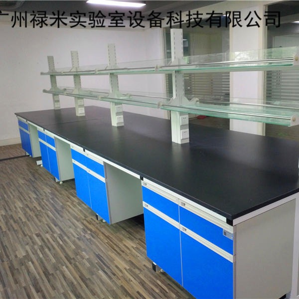 禄米通风柜 药品柜钢木实验台全钢柜体理化桌面实验台LUMI -LDNIENG7856s图片