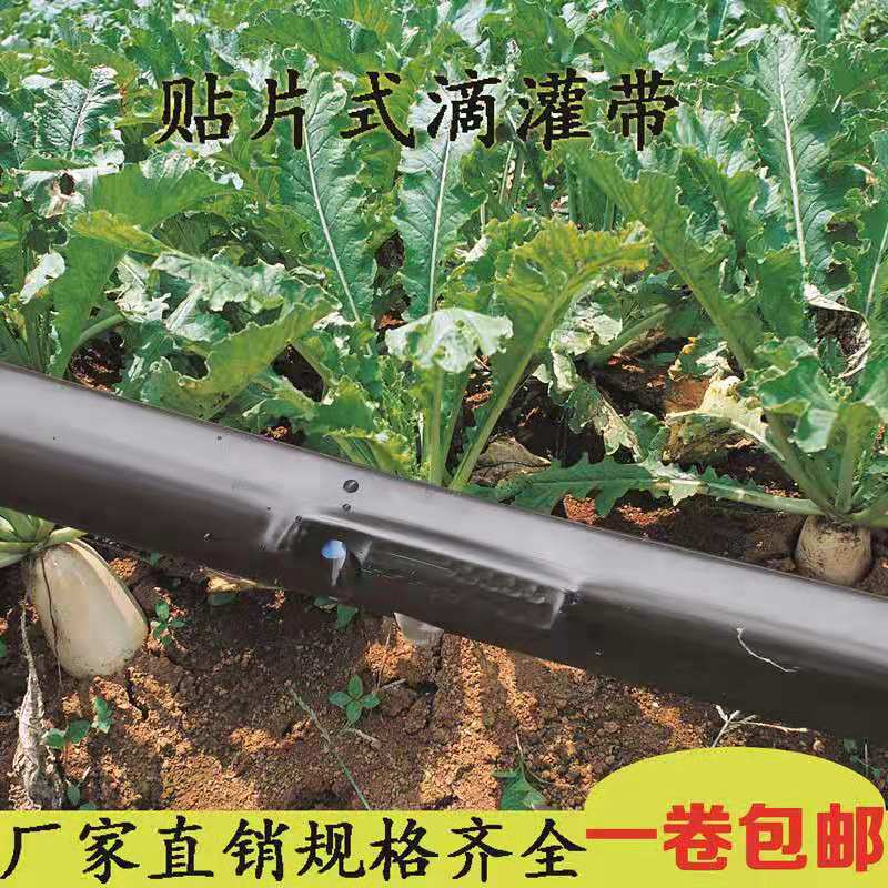 津市市温室灌溉系统 滴灌设备 滴灌系统示例图1