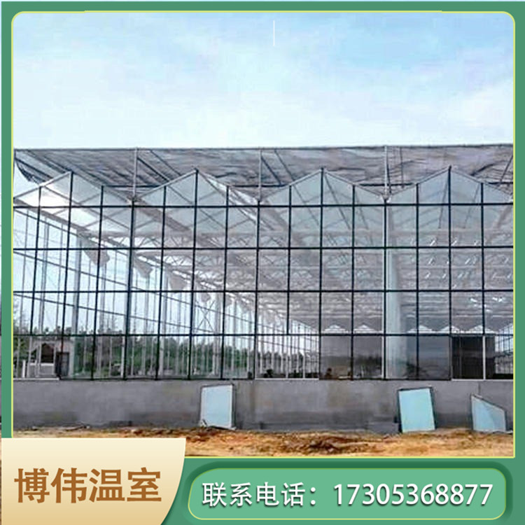 现代温室大棚厂家 方钢温室大棚 玻璃智能温室建设厂家 博伟 BW