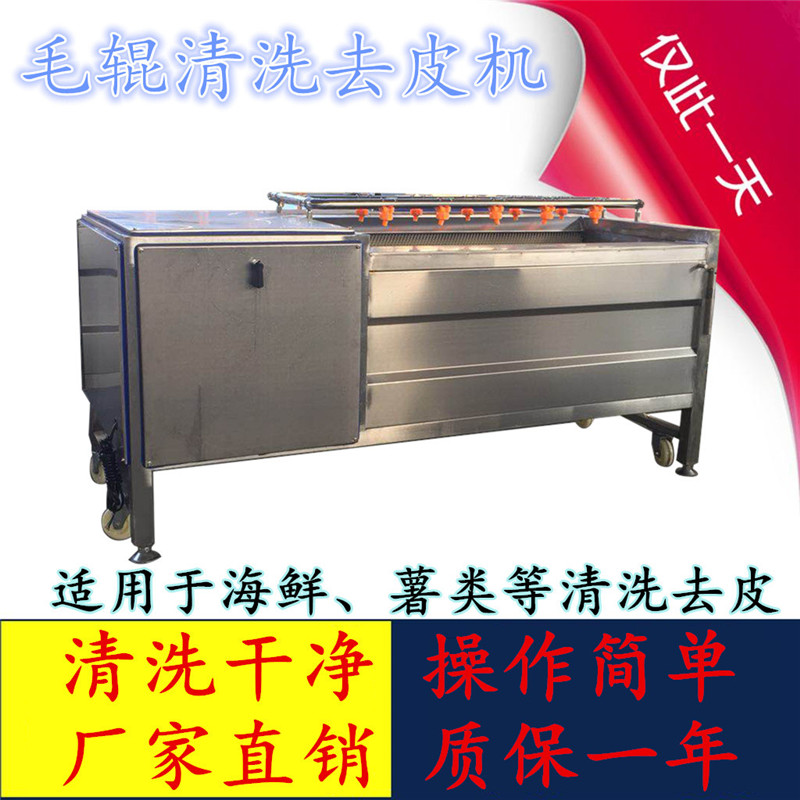 红薯毛刷清洗机 毛棍去皮清洗机 洗红薯机器设备 泰昌TC-1500