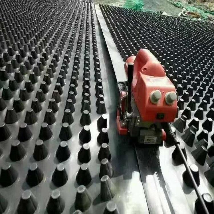 绿标建材 秦皇岛黑色排水板 绿色蓄排水板 塑料排水板价格 质量保障 量大优惠 蓄排水板