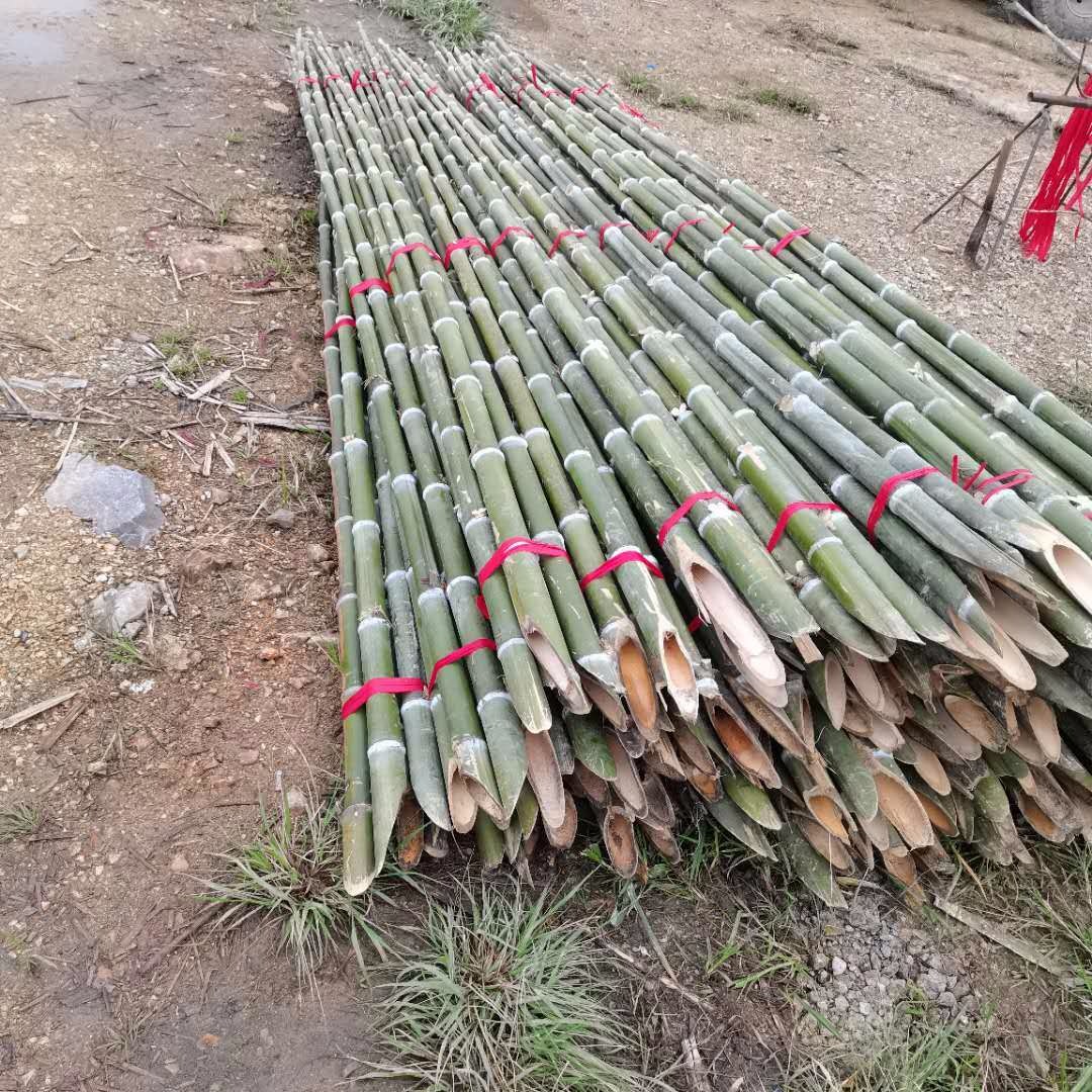 1米扁担撑厂家  绿化树木支撑杆 竹椅加工用原料量大从优