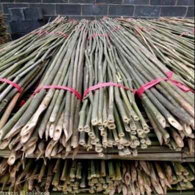 京西竹业  供应3米4米水竹 蜜蜂房等竹工艺品原材料