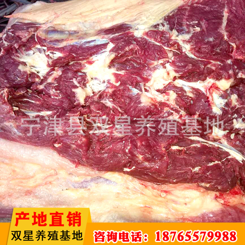 蒙古进口鲜马肉 活马屠宰脖头肉产地直销 天然食品新鲜马肉示例图17