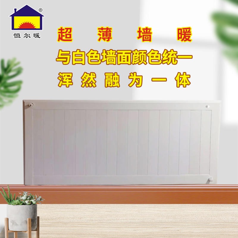 恒尔暖超薄墙暖供暖装饰二合一不扬尘不熏墙绿色环保采暖散热器（0.8m白色）