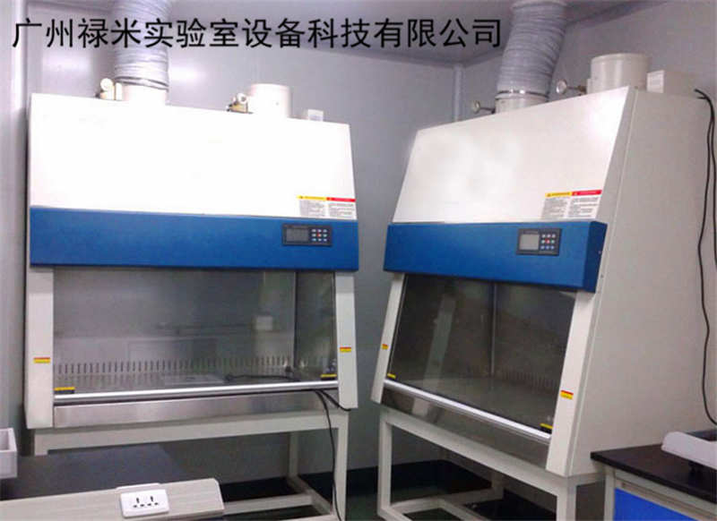 禄米  实验室厂家直销 A2型 B2型生物安全柜LUMI-SW16
