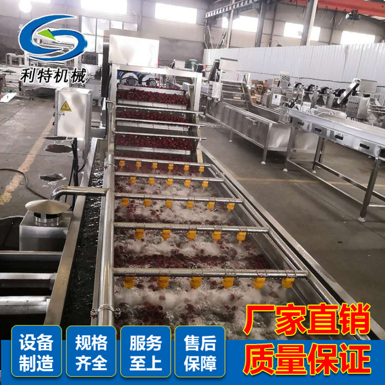 大枣清洗机  红枣加工设备  大枣加工流水线  全国出售