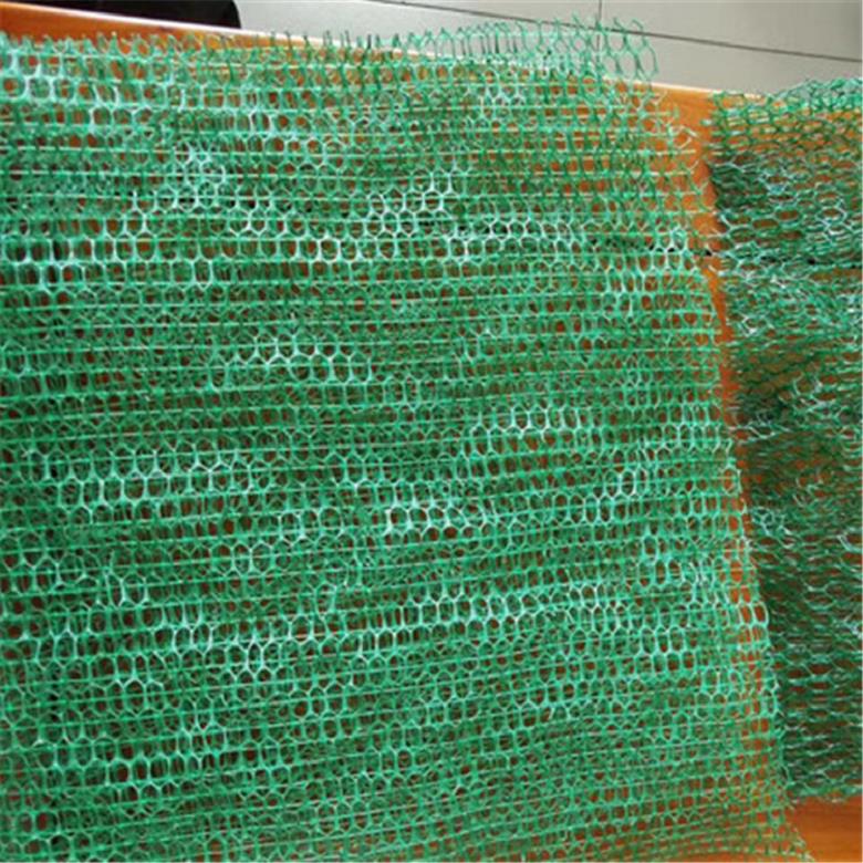 四平三维植被网厂家出售 EM3三维植被网 四平三维土工网垫经销 四平三维植草网价格合理图片