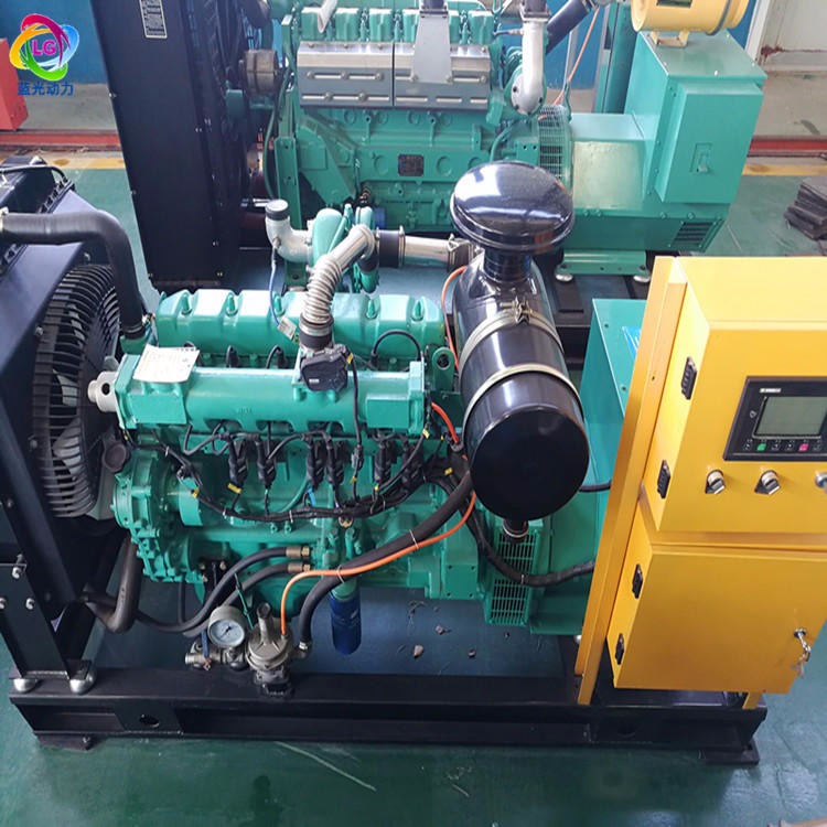 生产厂家直销 沼气发电机组 潍坊发电机组 静音低噪音30kw发电机