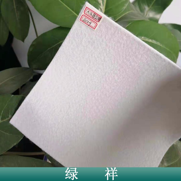 上海防渗土工布价格 防渗复合膜规格300g-1800g绿祥型号全