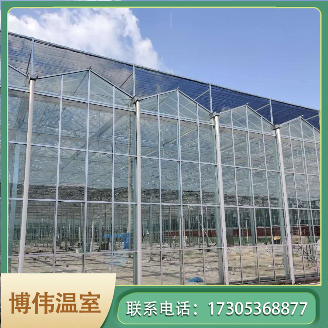 文洛温室大棚价格 蔬菜樱桃温室大棚 现代化玻璃温室价格 博伟 BW