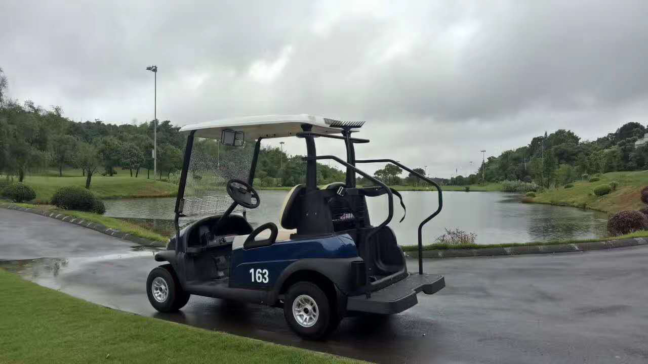 利凯士得节能环保两座电动高尔夫球车示例图1