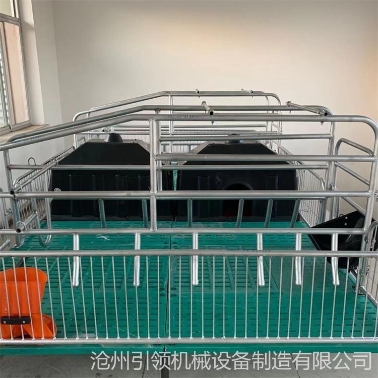 养猪设备厂  双体母猪产床   铸铁腿猪用分娩床  欧式产床
