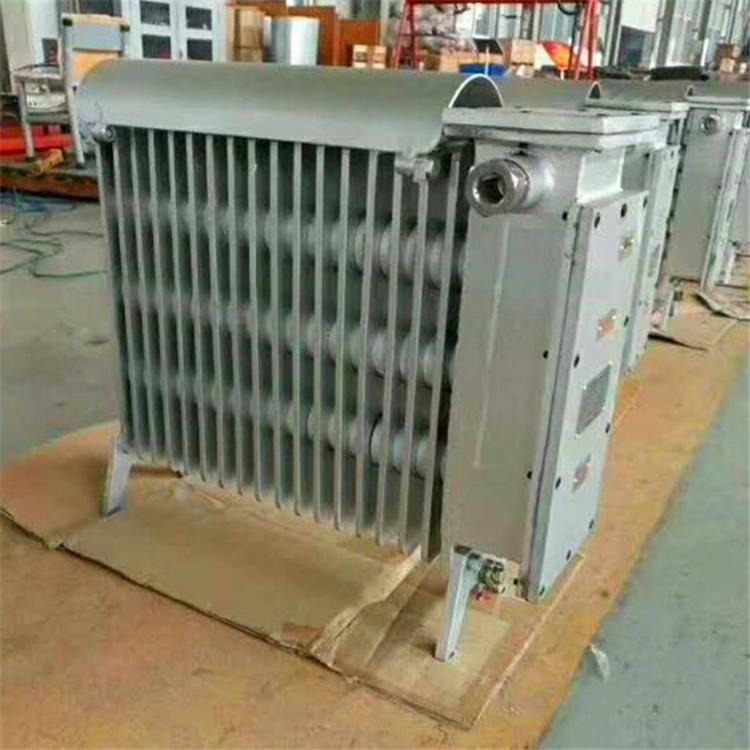 佳硕 矿用防爆取暖器 RB-2000/127(A)防爆取暖器 煤矿用防爆电热取暖器