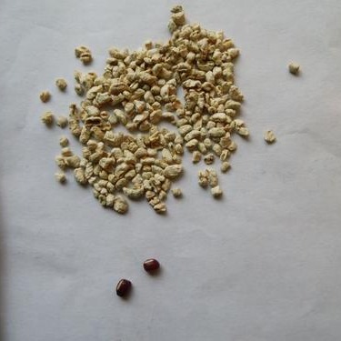 锦州优质抛光材料玉米芯磨料随时报价 易碎工艺品抛光用玉米芯磨料供应商报价 天然致密玉米芯磨料