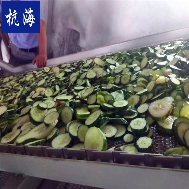 大蒜烘干机 黄瓜烘干机 烘干设备 杭海机械 烘干机制作厂家